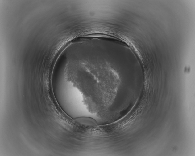 X0000090770386200707201443