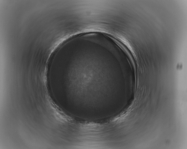 X0000090770387200707201443
