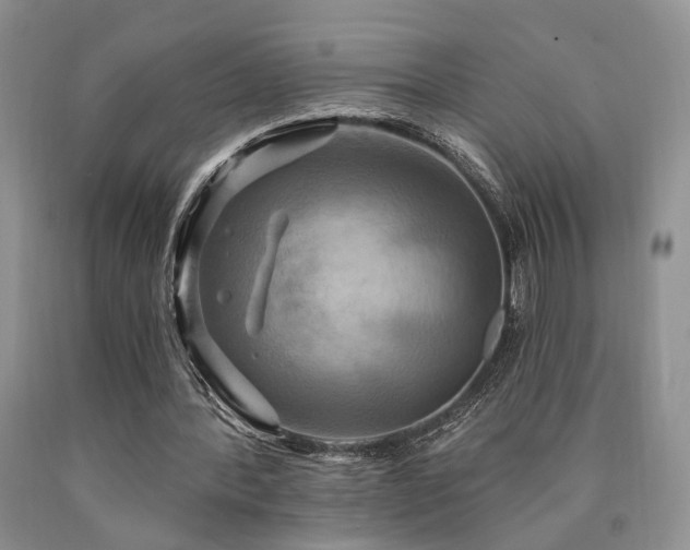 X0000090770388200707201443