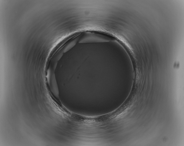 X0000090770391200707201443