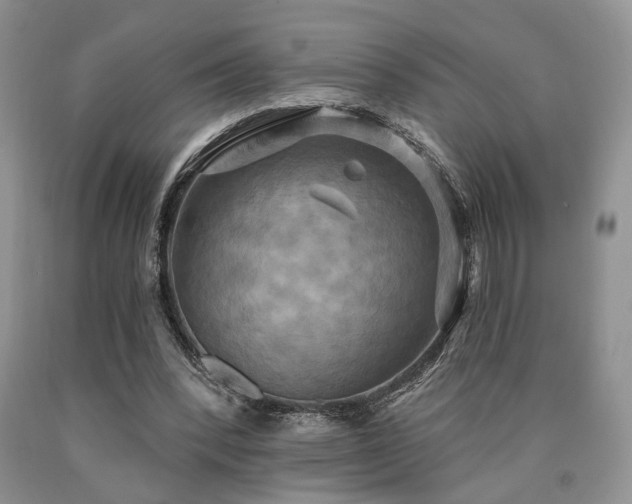 X0000090770392200707201443