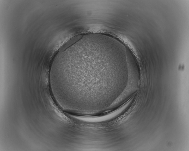 X0000090770393200707201443