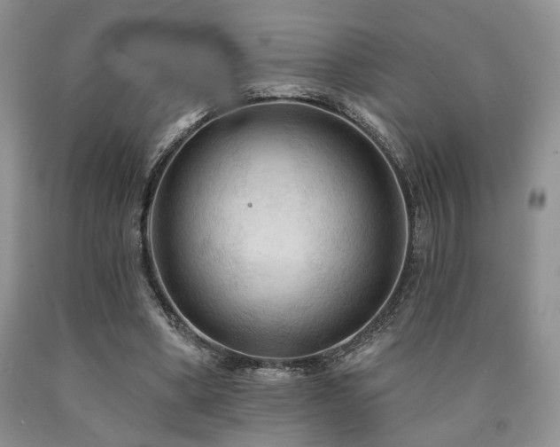 X0000090770394200707201443