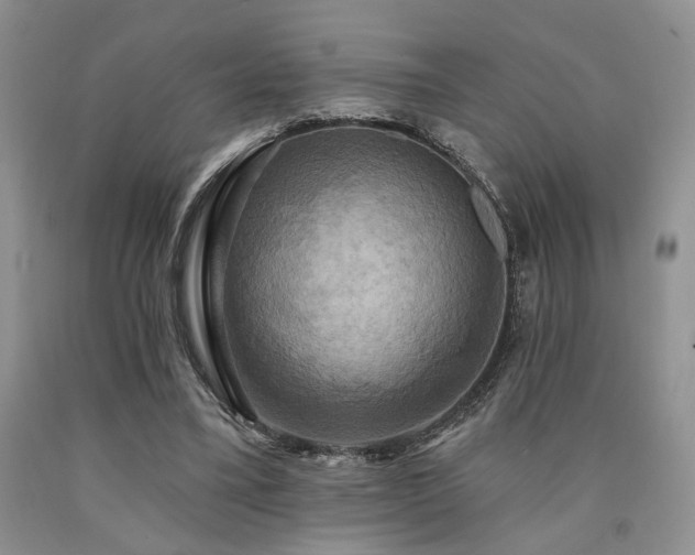 X0000090770395200707201443