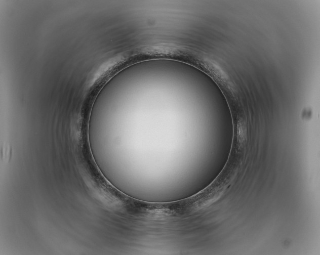 X0000090770396200707201443