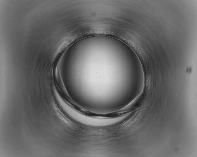X0000090770397200707201443