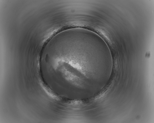 X0000090770398200707201443