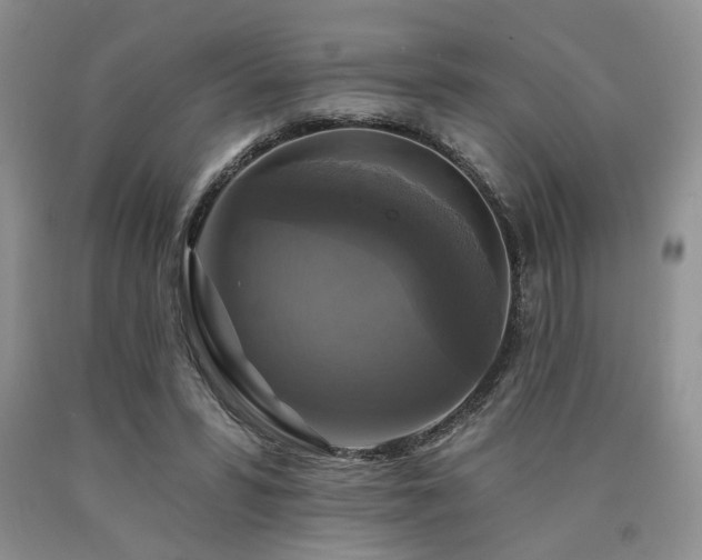 X0000090770399200707201443