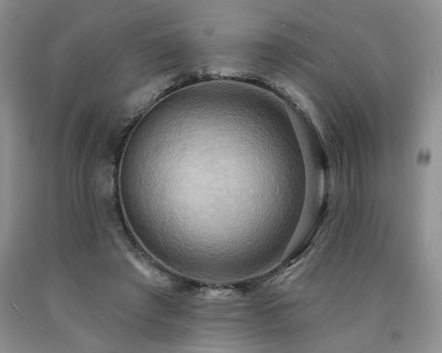 X0000090770401200707201443