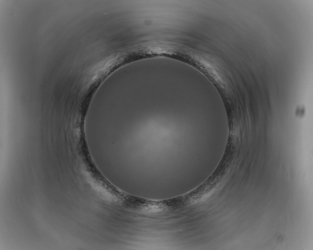 X0000090770402200707201443