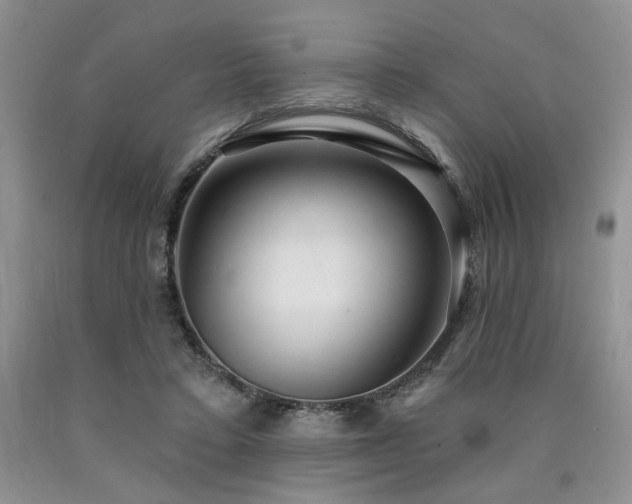 X0000090770403200707201443