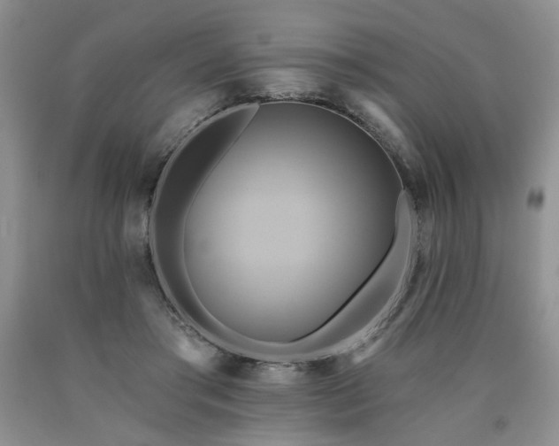 X0000090770405200707201443
