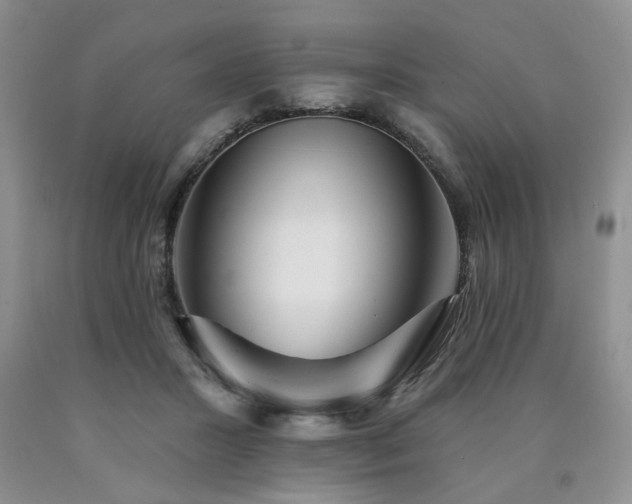 X0000090770407200707201443