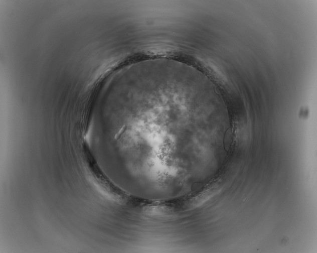 X0000090770408200707201443