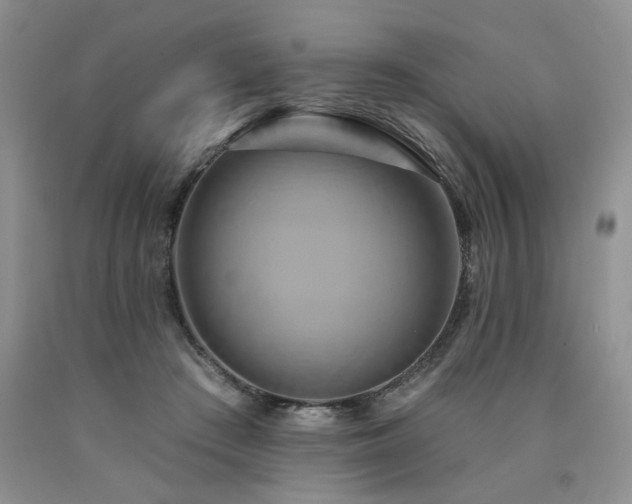 X0000090770409200707201443