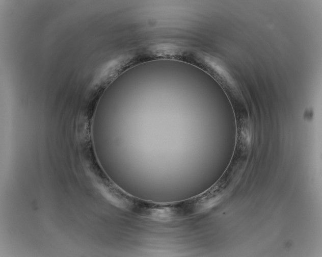 X0000090770411200707201443
