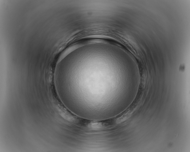 X0000090770413200707201443