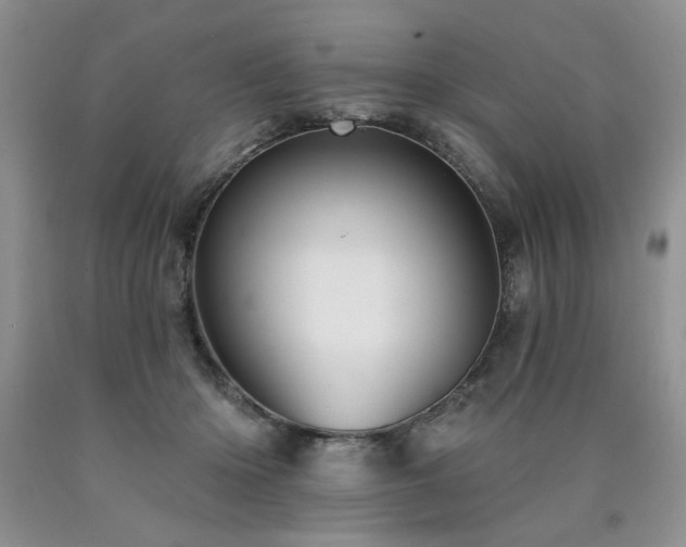 X0000090770414200707201443