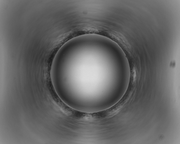 X0000090770416200707201442