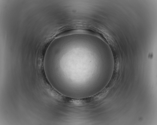 X0000090770417200707201442