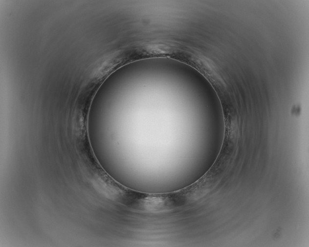 X0000090770418200707201442