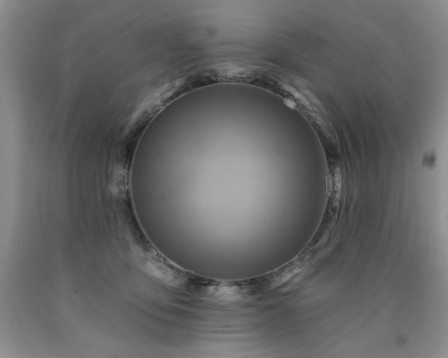 X0000090770419200707201442