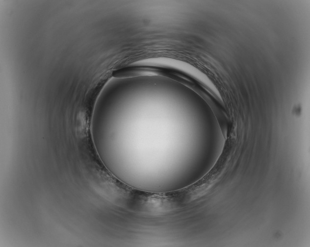 X0000090770420200707201442