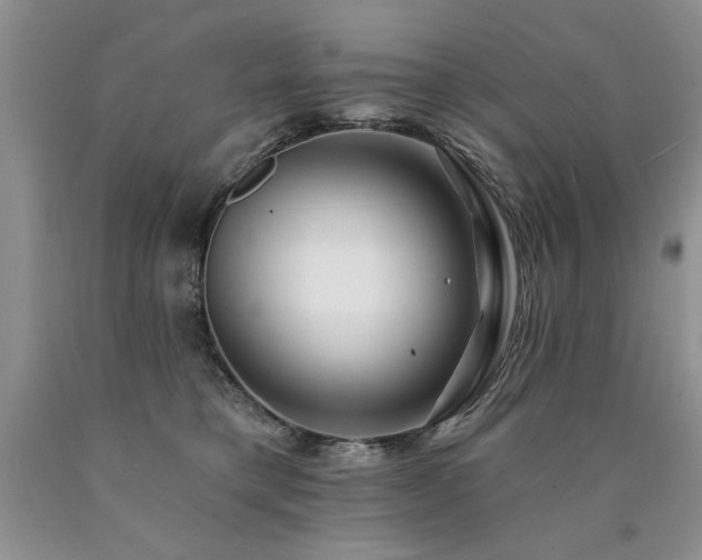 X0000090770421200707201442