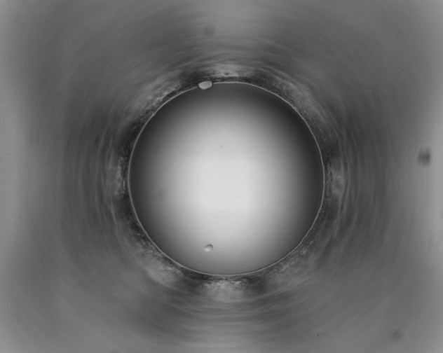 X0000090770422200707201442
