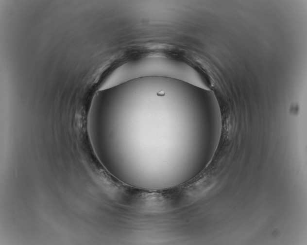 X0000090770424200707201442