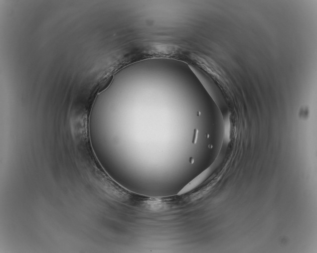 X0000090770425200707201442