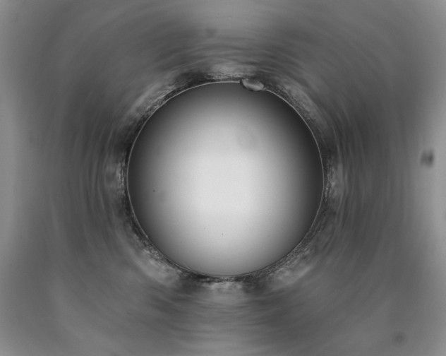 X0000090770426200707201442