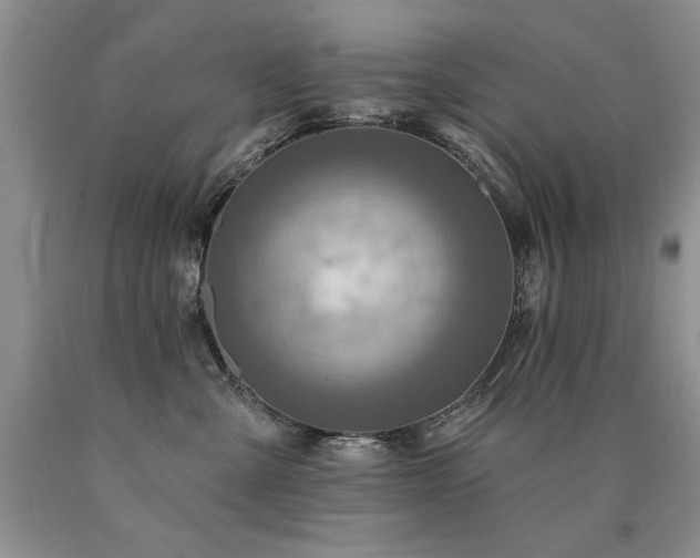 X0000090770427200707201442