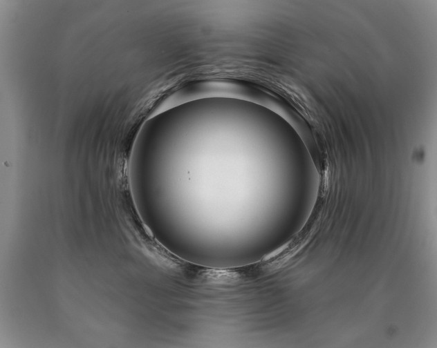 X0000090770429200707201442