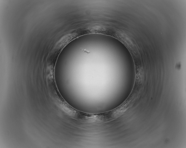 X0000090770430200707201442