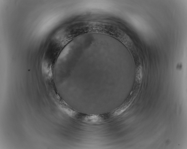 X0000090770431200707201442