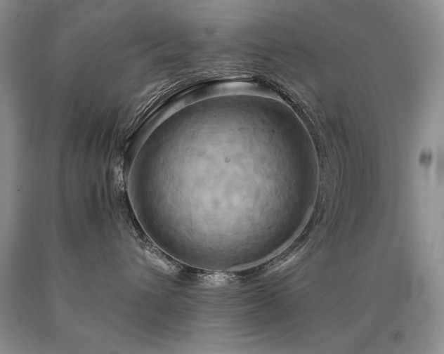 X0000090770432200707201442