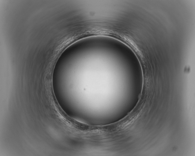 X0000090770433200707201442