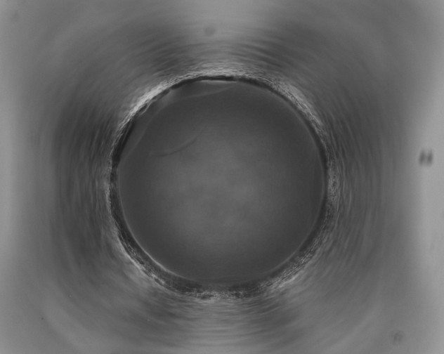 X0000090770434200707201442