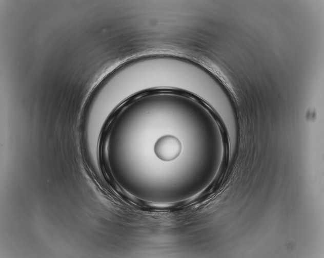 X0000090770436200707201442