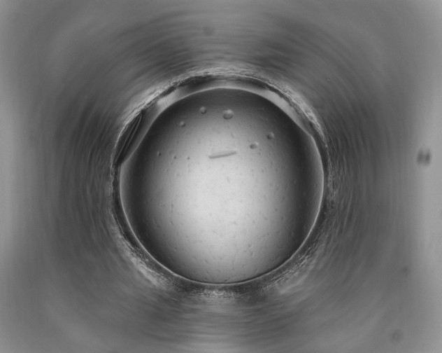 X0000090770437200707201442