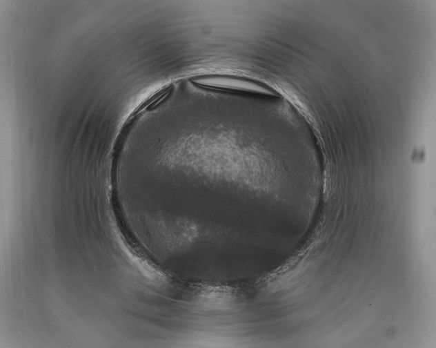 X0000090770438200707201442