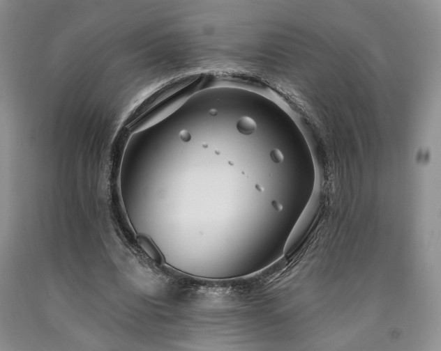X0000090770440200707201442