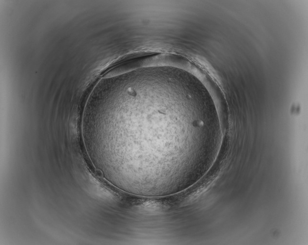 X0000090770441200707201442