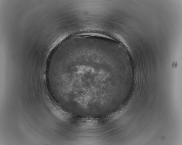 X0000090770443200707201442