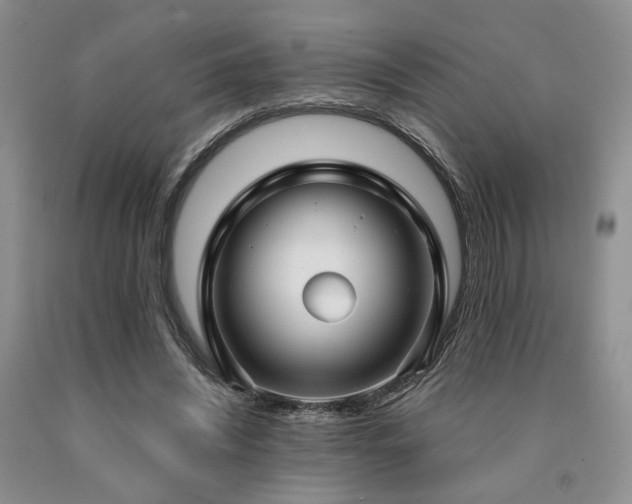 X0000090770444200707201442