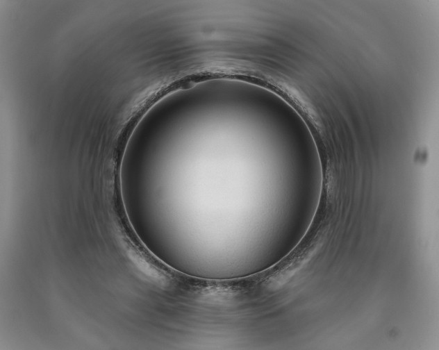 X0000090770445200707201442