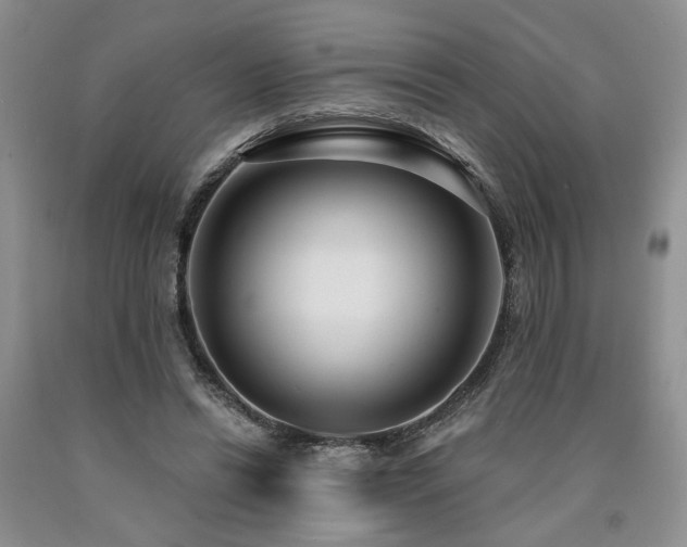 X0000090770446200707201442