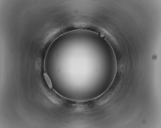 X0000090770448200707201442