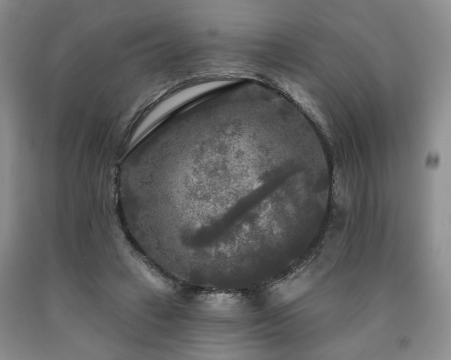 X0000090770449200707201442